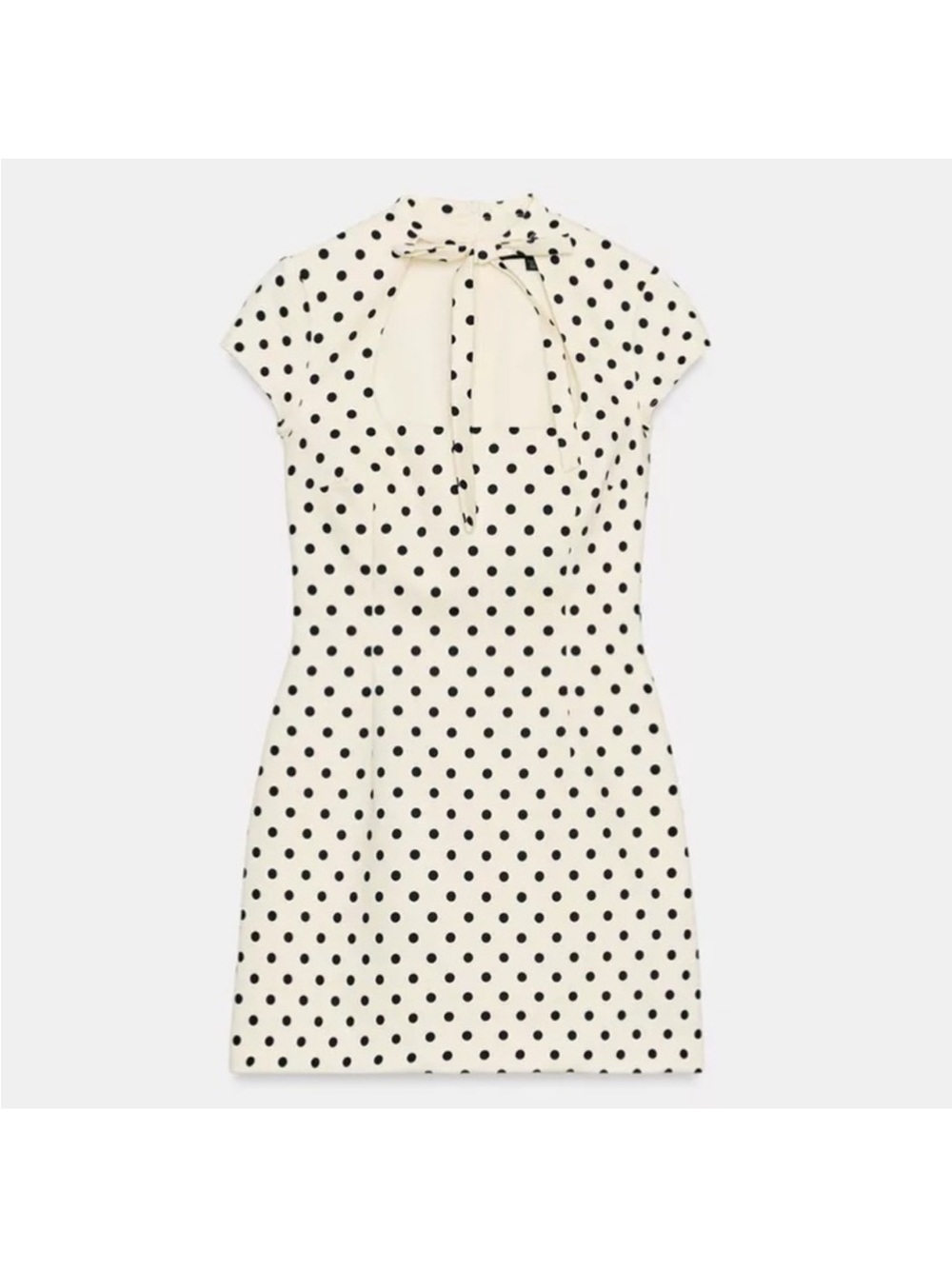 Zara Polka Dot Dress